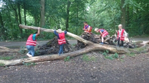 Afbeelding boven